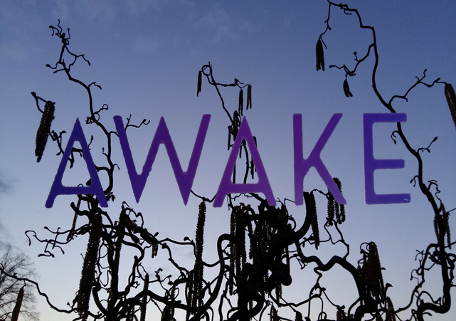 Awake walk