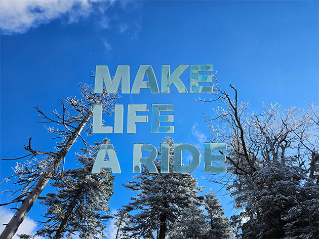 ... the way to go!