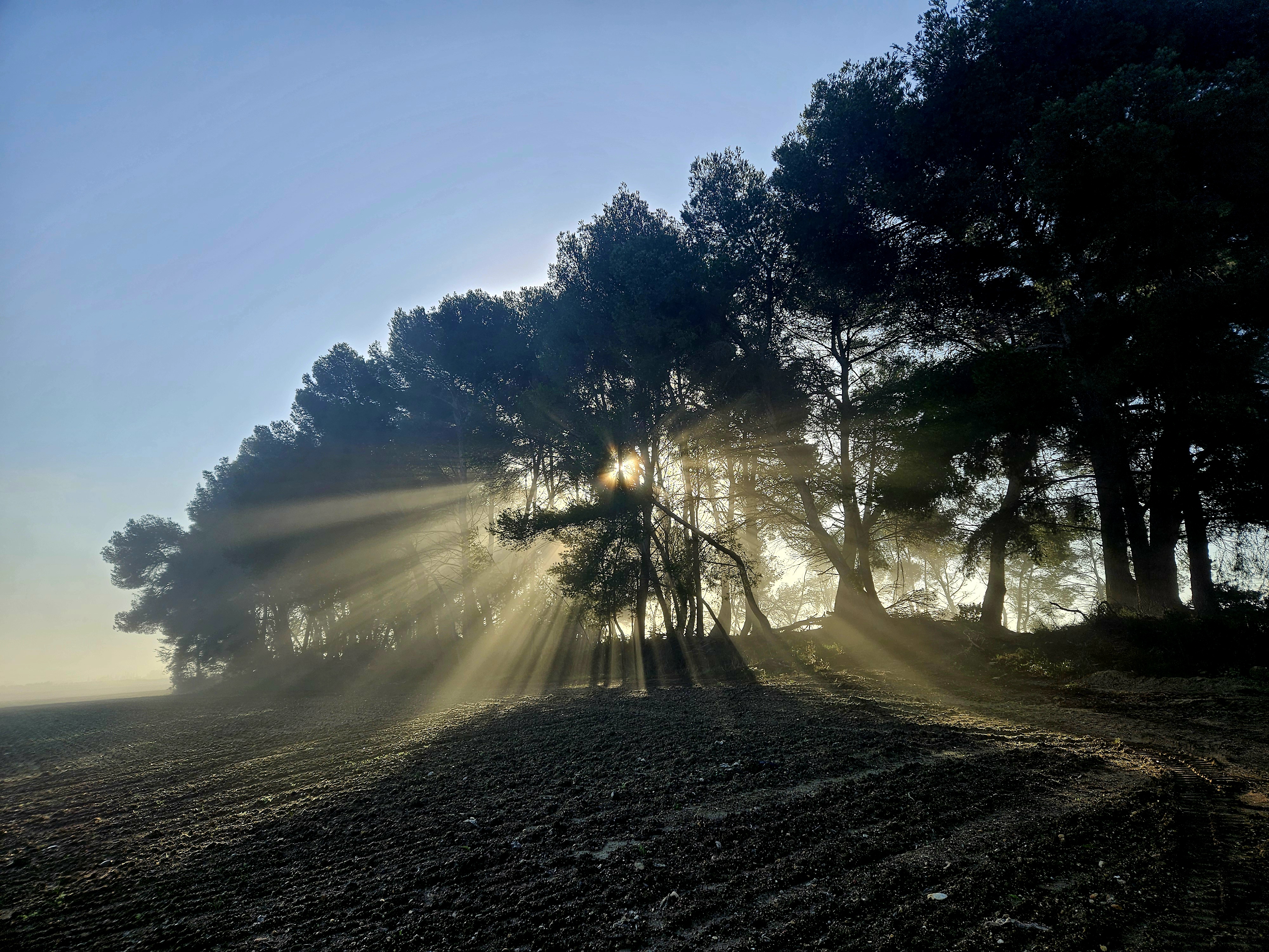 .... promote light!