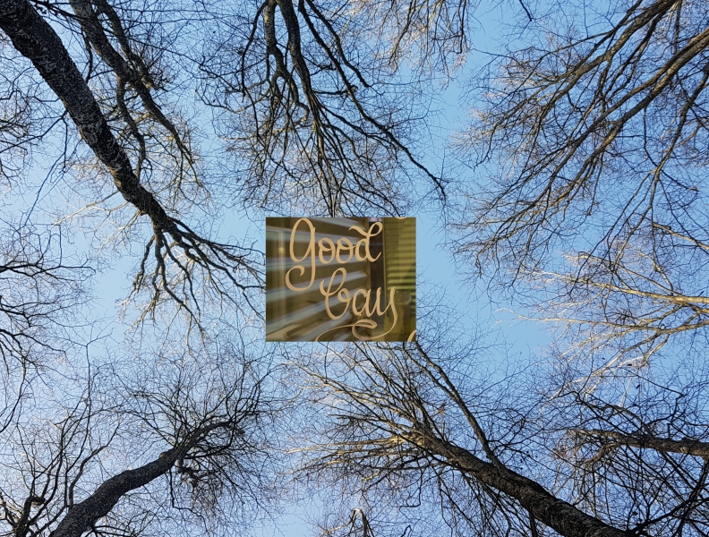 Tree walk