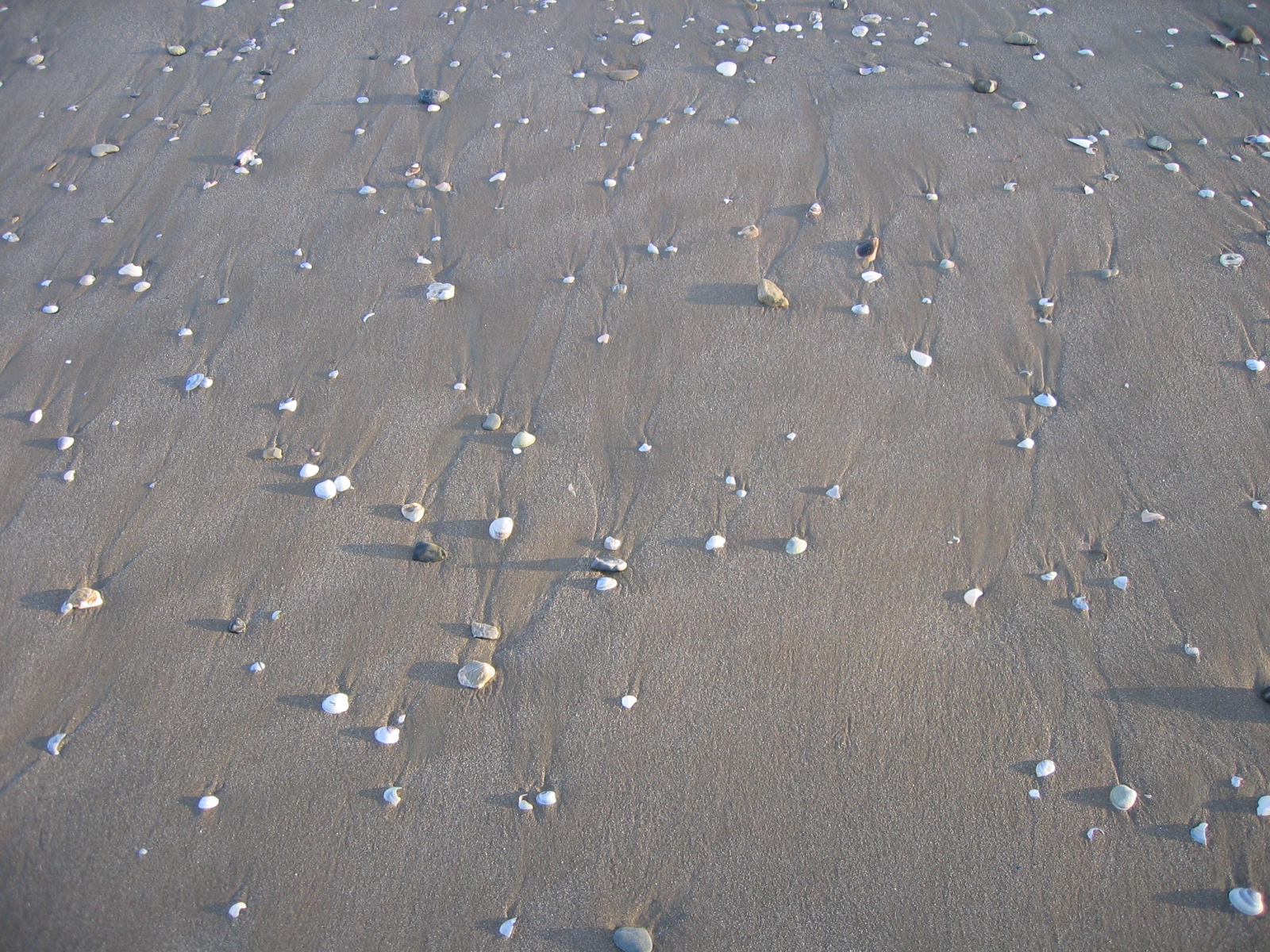 beach walk