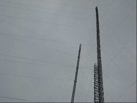 connection walk