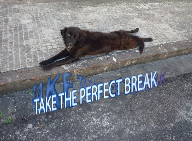 Breaking walk