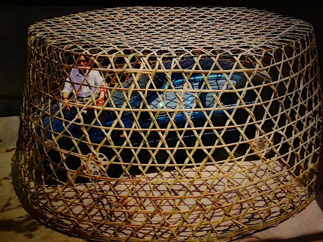Caged walk