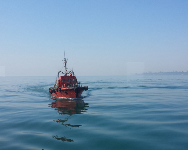 Shipping walk