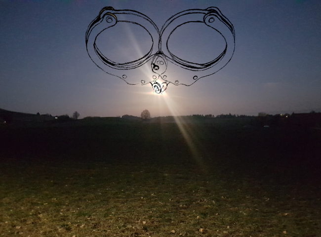Sunny walk