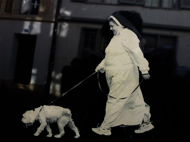 Dog walk