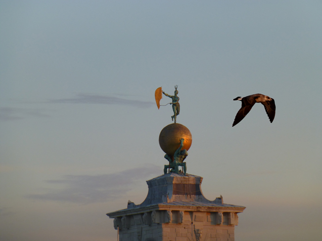 Wing walk