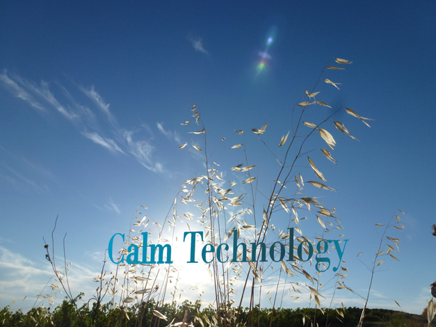 Calm walk