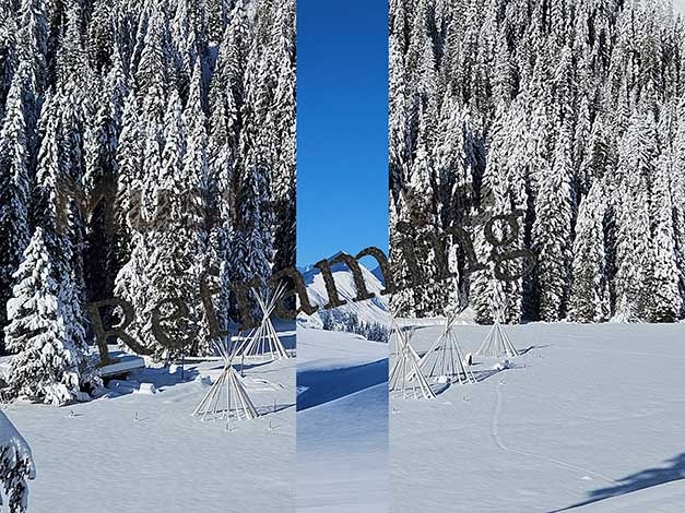 ... the top as a goal?