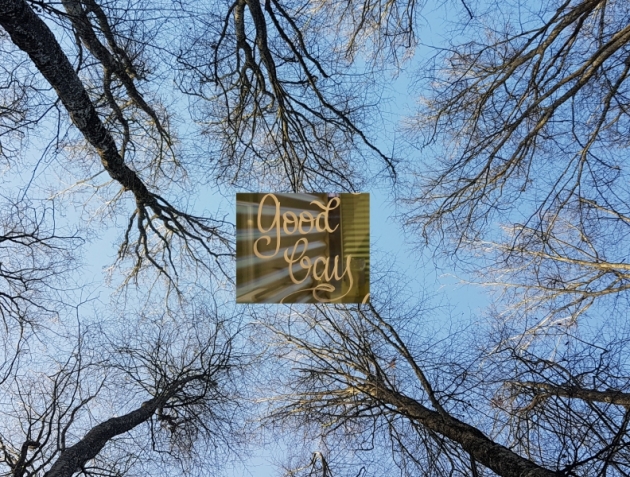 Tree walk