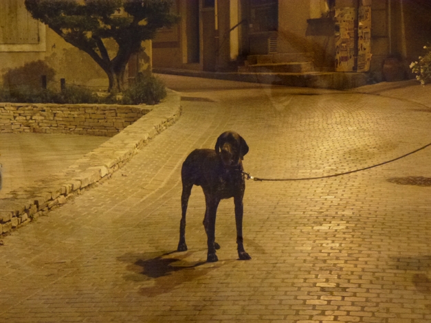 Lonely walk