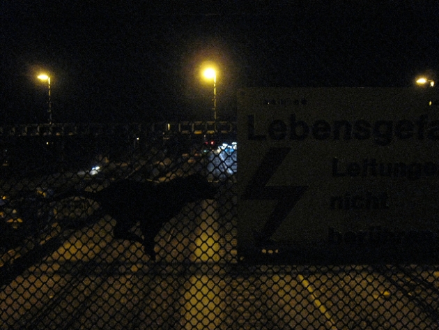 night walk