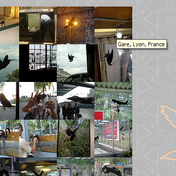 bird walk bird walk