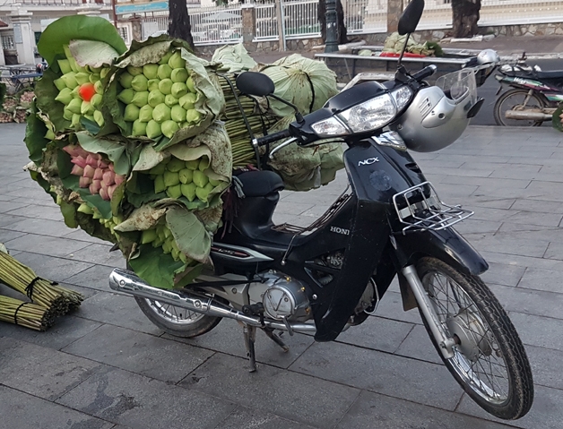 Motor walk