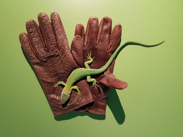 Handy walk